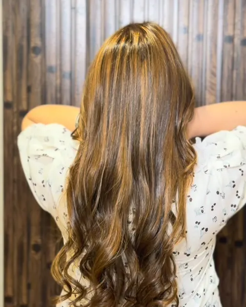 Blush studio — Caramel Brown With Honey highlights😍